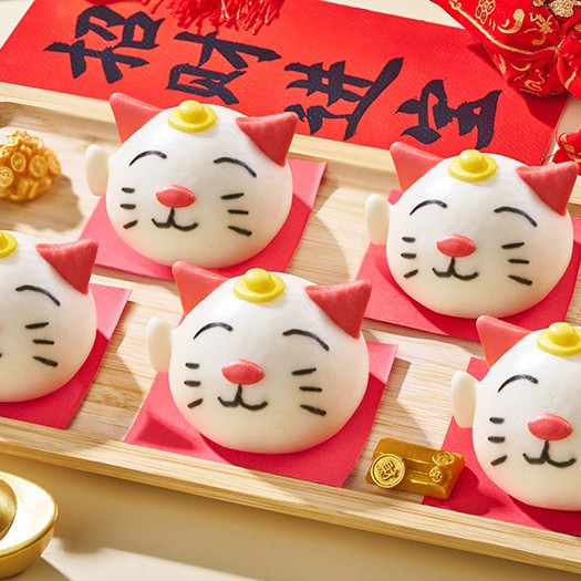 ǧζ300g�����в�è��ͨ����10����